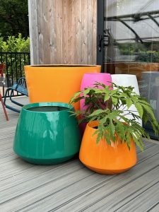 An array of plant pots on decking